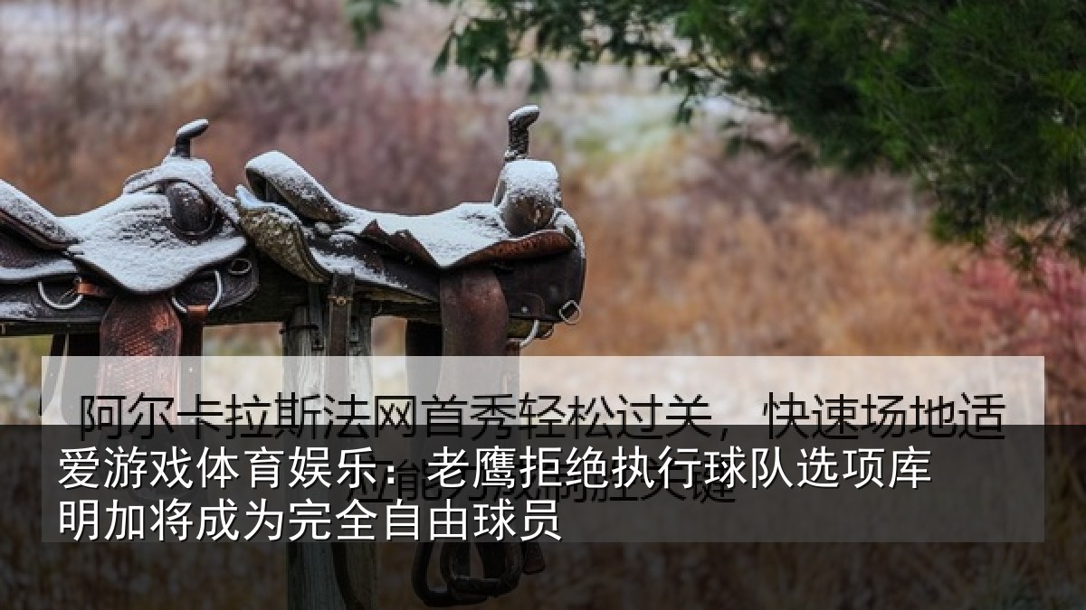 爱游戏体育娱乐:老鹰拒绝执行球队相关情况完全自由球员