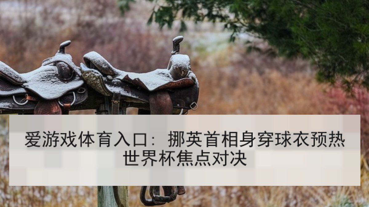 爱游戏体育入口: 挪英首相身穿球衣预热世界杯焦点对决 爱游戏体育入口: 挪英首相身穿球衣预热世界杯焦点对决