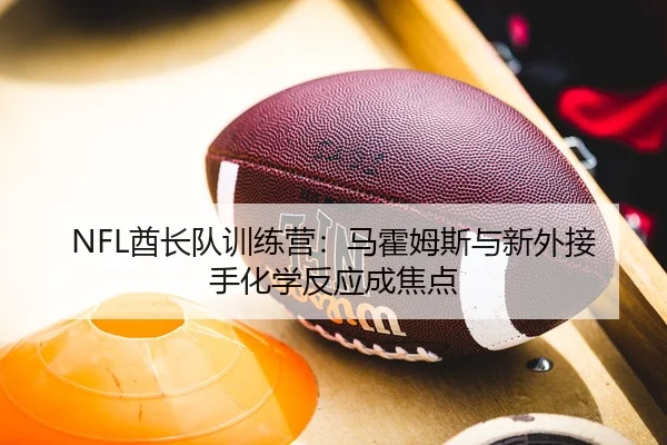NFL酋长队训练营：马霍姆斯与新外接手化学反应成焦点