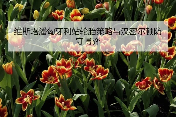 维斯塔潘匈牙利站轮胎策略与汉密尔顿防守博弈