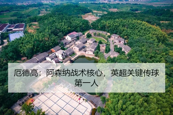 厄德高：阿森纳战术核心，英超关键传球第一人